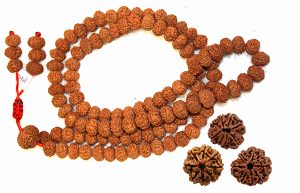 8 Mukhi Rudraksha 108 Beads Japa Mala Image
